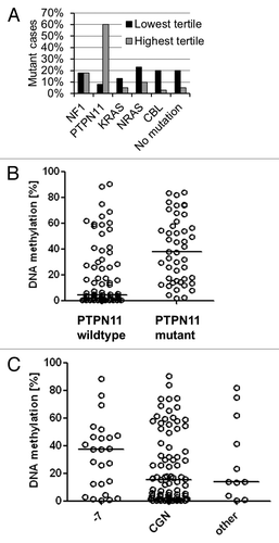 Figure 4. Association between RASA4 TSS2 methylation and genetic features in JMML. (A) Proportion of cases with NF1, PTPN11, KRAS, NRAS or CBL gene mutation or no identified mutation in 41 cases with lowest RASA4 TSS2 methylation level (black bars) or 42 cases with highest RASA4 TSS2 methylation level (gray bars) after dividing the entire cohort of 125 cases by methylation tertile. (B)RASA4 TSS2 methylation levels in 74 cases with wild type PTPN11 and 46 cases with PTPN11 mutation. Horizontal lines represent median values. (C)RASA4 TSS2 methylation levels in 25 cases with monosomy 7, 83 cases with normal cytogenetics and 11 cases with other chromosomal aberrations. Horizontal lines represent median values. Abbreviations: -7, monosomy 7; CGN, cytogenetically normal.