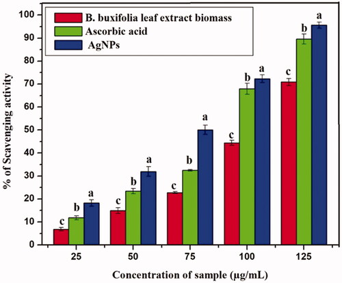 Figure 3. Antioxidant capacity of B. buxifolia, and synthesized Ag NPs using ABTS assay.
