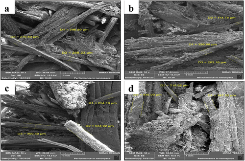 Figure 4. FESEM image of the test samples for fiber size. (a) sample #1, (b) sample #2, (c) sample #3, (d) sample #4.