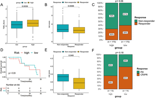 Figure 6 The assessment of the response to immunotherapy. (A) Differences in TIDE scores between high- and low-risk groups in TCGA-LIHC cohort. (B) Differences in risk scores between the responders and non-responders in TCGA-LIHC cohort. (C) The proportion of patients with response to immunotherapy in two risk groups in TCGA-LIHC cohort. (D) Kaplan-Meier analysis of two risk groups in GSE78220 cohort. (E) Comparison of the risk scores between the responders and non-responders in GSE78220 cohort. (F) The proportion of patients with response to anti-PD-1 immunotherapy in two risk groups in GSE78220 cohort.