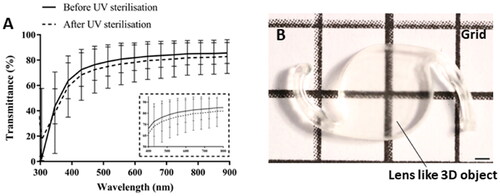 Figure 4. Optical characterization of the printed lens-like 3D objects. (A) Spectral transmittance of the devices before and after sterilization. A set of implants was sterilized for 1 h with UV irradiation and their light transmittance was compared to non-sterilized counterparts. The spectra indicate that the printed devices allow light transmission within the visible range (380–700 nm) and that the UV sterilization process slightly decreases the light transmittance by ∼3%. Light transmittance (%) was obtained and represented against a wavelength range of 300–900 nm. Data are presented as mean ± SD (n = 9). (B) Apparent visual clarity of a grid seen behind the IOL-like printed object. The scale bar represents 1 mm.