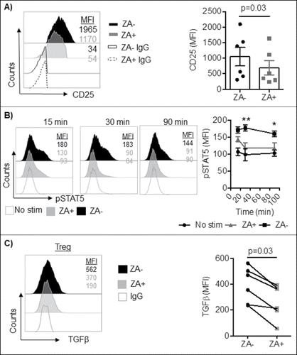 Figure 4. A) Enriched Treg from healthy blood donors (n = 6) were stimulated with IL-2 in the presence or absence of ZA for 3 days and analyzed for the expression of CD25 by flow cytometry. A representative histogram and accumulated data mean ± SEM are shown and statistical analysis was performed by Wilcoxon test. Each symbol represents a distinct healthy individual. B) Enriched Treg from healthy blood donors (n = 3) were stimulated with and without IL-2 in the presence or absence of ZA for 15, 30, and 90 minutes and analyzed for the expression of phosphorylated STAT5 by flow cytometry. Representative histograms and accumulated data mean ± SEM are shown and statistical analysis was performed by Two-way ANOVA. **p = 0.004, *p = 0.01. C) Enriched or sorted Treg (n = 6) were overnight stimulated with IL-2 and OKT3 in the presence or absence of ZA and stained for total TGFβ. A representative histogram and accumulated data are shown and statistical analyses were performed by Wilcoxon test.