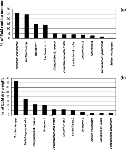 Figure 4. Comparative analysis of the per cent of relative abundance of 11 EcM fungal taxa along the transect. (a) Community structure based on per cent of EcM root tips number (n = 6689). (b) Community structure based on per cent of EcM dry weight (n = 992.6 mg)