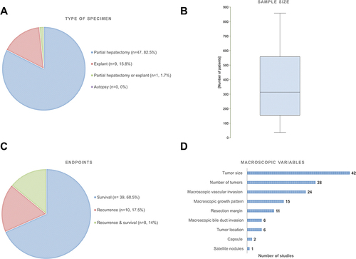 Figure 1 Characteristics of the eligible studies. (A) Types of specimen grossly examined. (B) Boxplot representing the distribution of sample size. (C) Endpoints investigated. (D) Types of macroscopic variables analyzed.