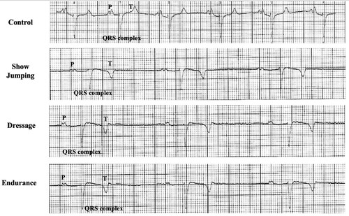 Figure 1. A section of modified precordial lead ECG recording. Control horse, Show Jumping horse, Dressage horse, and Endurance horse.