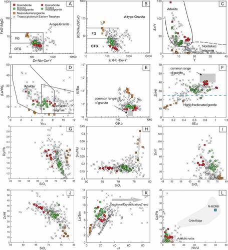 Figure 8. The whole-rock geochemical discriminative diagrams of the Baishandong Pluton. (A) FeOT/MgO, and (B) (K2O+Na2O)/CaO vs. (Zr+Nb+Ce+Y) classification diagrams (Barnes et al. Citation1996), FG: Fractionated felsic granites; OGT: unfractionated. (C) Sr/Y vs. Y diagram from (Defant and Drummond Citation1990; Barbarin Citation1999); (D) (La/Yb)N vs. YbN; (E) K/Rb vs. K/Ba; (F) Zr/Hf vs. ?Eu in which the common range of granites is reported by (Bau Citation1996; Jahn et al. Citation2001); (G)-(J) SiO2 vs. Dy/Yb, Sm/Nd, Sr/Y, and Zr/Hf diagrams; (K) La vs. La/Sm diagram; (L) Nb/U vs. Ce/Pb diagram. Trace elements are plotted in ppm, Chondrite values are from (Masuda and Akagi Citation1989) .