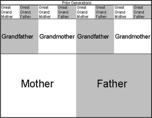 Figure 3. Simplified diagram showing influences of three preceding generations of ancestors on the present day individual.