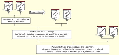 Figure 2. Comparability exercise for process change and biosimilarity. There are three types of variation: batch-to-batch, pre- and post-process-changed products, and original products and biosimilars. Appropriate comparability analyses should be performed for each case. The comparability exercise for biosimilars is more comprehensive than for process-changed products, and clinical studies are required by regulatory authorities unlike for process-changed products.