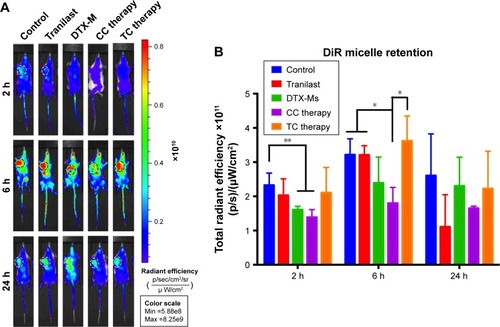 Figure 6 Distribution and retention of micelles in 4T1 tumor bearing mice.Notes: (A) IVIS and (B) radiant efficiency analysis of DiR-Ms after different treatments (n=3). *P<0.05, **P<0.01.Abbreviations: IVIS, in vivo imaging systems; TC therapy, two-stage combination therapy; CC therapy, co-dose combination therapy; DTX-Ms, docetaxel micelles; DiR-Ms, 1,1′-dioctadecyl-3,3,3′,3′-tetramethylindotricarbocyanine iodide-loaded micelles.