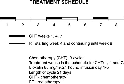 Figure 1.  Treatment schedule.