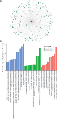 Figure 9. Target gene predictions and Gene Ontology enrichment analyses of tiRNA-Gln-TTG-001. GO: Gene ontology.