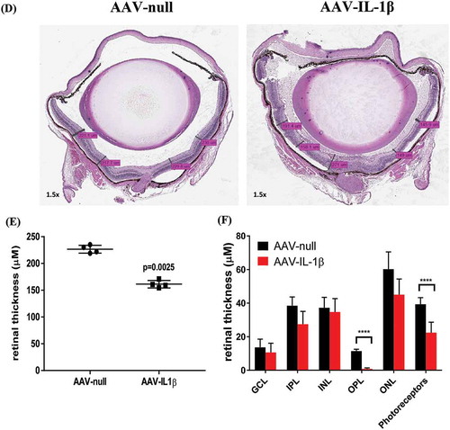 Figure 3b. (Continued).