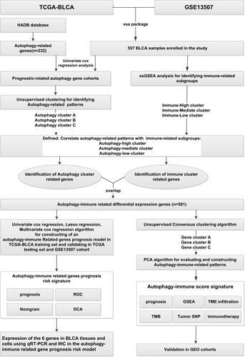 Figure 1 The overview of the work.