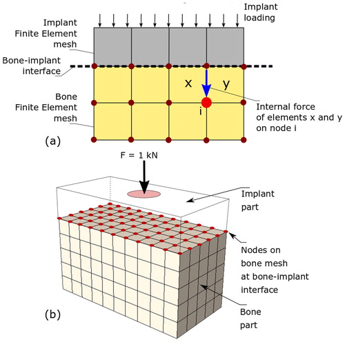 Figure 1. (a) The use of internal nodal force in the bone mesh. (b) Presentation of the FE model composed of an implant part on a bone part.