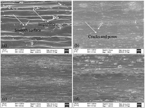 Figure 2. Scanning electron microscope images of Bauhinia vahlii fiber (a) untreated; (b) alkalization; (c) benzoylation; (d) bleaching.