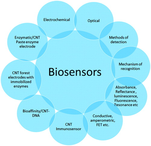 Scheme 1. Different types of CNTs-based biosensors.