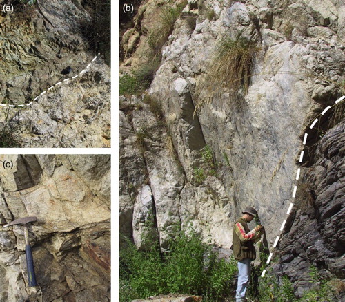 Figure 6. Intrusive contact of Punta d'Atò granitoids within hosting APU metapelites: (a) the core zone with fault rocks of a recent normal fault (northern sector of attached map) plane masking the original intrusive contact between plutonic rocks and hosting metamorphic rocks; (b) normal fault superimposed on the sharp intrusive contact (area near Condofuri); (c) the intrusive contact shown here is better preserved (Mt. Peripoli area).