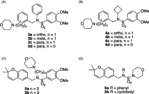 Figure 2. Classes of analogs. (A) Class A, morpholinomethylphenyl in ortho, meta, or para positions, or morpholinophenyl in para position; (B) Class B, morpholinomethylphenyl in ortho, meta, or para positions, or morpholinophenyl in para position; (C) Class C, n = 2 or 3; (D) Class D.