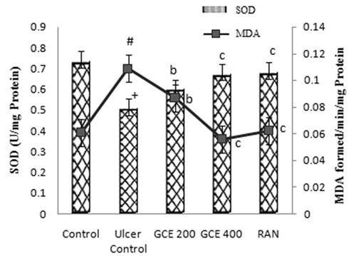 Figure 6. Effect of GCE on MDA and SOD activity in rat gastric mucosa in ethanol-induced gastric ulcers in rats. Values are expressed as means ± S.E.M. (n = 6 in each group); +p < .001, #p < .01 compared to the respective control group. bp < .01 and cp < .001 compared to the respective ethanol-induced ulcer control group.
