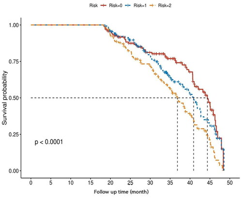 Figure 6. External validation of the risk score system for HF incidence. Kaplan–Meier’s survival curves for PD patients with higher and lower risks of HF. The risk score is divided into three levels. The survival prognosis of PD patients in the high-risk group was significantly worse than that in the low-risk group follow-up time (m): the time from study enrollment to the end of HF.