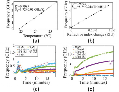 Figure 15. (a) Temperature slope sensitivity. The dotted line is a linear fit. (b) Bulk refractive index slope sensitivity. The dotted line is a linear fit. (c) Beatnote frequency changes due to binding of the rhS100A4 protein to the antibodies immobilized onto the microdisk laser at low protein concentrations. The initial bumps at ~1 – 2 minutes are results of a short-time temperature overshoot caused by the dynamics of the flow system. (d) Data of high protein concentrations. Figures taken from [Citation3]