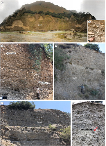 Figure 6. Deposits of the relict and modern alluvial fans. (a) The relict alluvial fan deposits named the Tmolosschutt. (b) The poorly sorted sediment structure of the relict alluvial fans. (c) The sediments of the relict alluvial fan back-tilted to the north. (d) A view of the more unconsolidated sediments toward the surface of the relict alluvial fans. (e,f) Sedimentary body of a modern alluvial fan with unconsolidated, angular, and poorly sorted clasts, in the eastern section of the BMG. The geological hammer is marked with a red arrow.