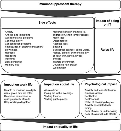 Figure 1 Conceptual framework of the impact of IT on quality of life.