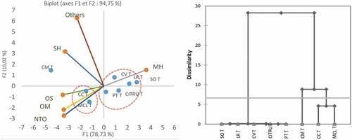 Figure 1. PCA and Dendrogram of Maltaise peel oil samples from healthy trees