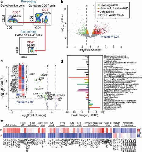 Figure 1. Transcriptomic characterization of CD4+ TILs of CRC patients. RNA-Seq was performed on CD4+ TILs isolated from 18 CRC tissues at different disease stages. Flow cytometric plots illustrate the gating strategy to isolate CD4+ TILs with high purity (a). Volcano plot showing significantly (P < 0.05) upregulated (red) and downregulated transcripts (green) from advanced (stage III & IV) vs. early (I & II) stages of CRC (b). Comparisons of selected differentially expressed gene panels including immune checkpoints, Th-, Treg- and Tex-related genes from advanced (A) vs. early (e) comparison. Volcano plot and heat map (Z-scores) showing the differential expression of significantly (P < 0.05) upregulated or downregulated genes in advanced vs. early stages of CRC (c). Bar plots illustrating the functional characterization of significantly upregulated and downregulated genes from advanced vs. early stages of CRC (d). Heat maps of the differential expression of genes from selected upregulated or downregulated pathways (e).