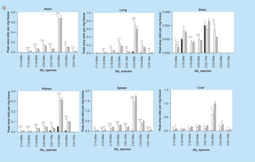 Figure 1.  Globotriaosylceramide acyl chain analysis.(A) Glycosphingolipids were extracted from frozen tissues, separated by UPLC, and Gb3 acyl chain species were analyzed by MS. All analyzed species varying in chain length, saturation and hydroxylation were significantly elevated in Fabry mice relative to wild-type (WT). (B) Most N-methylated Gb3 species analyzed were undetectable in WT tissues, with elevated levels observed in most Fabry tissues. Dark, open and striped bars correspond to WT, Fabry and MF, respectively.*,+ p < 0.05; **,++ p < 0.01; ***,+++ p < 0.001 based on the student’s t-test (*) or one-way ANOVA followed by the Bonferroni post-test (+); n = 4.ANOVA: Analysis of variance; Gb3: Globotriaosylceramide; MF: MDR1a/b/Fabry mouse; MS: Mass spectrometry.