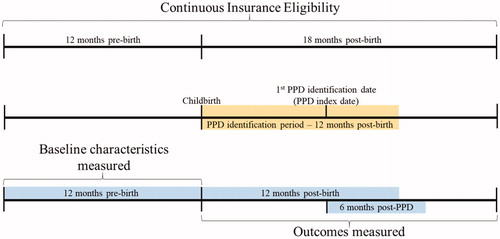 Figure 2. Study timeline.