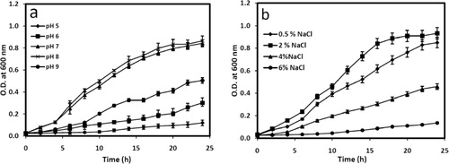 Figure 2. Growth of 2M4 at 29 ± 2°C with constant aeration (a) at various pH when NaCl concentration was 0.5% in nutrient broth and (b) at various NaCl concentrations when pH of the medium was kept neutral.