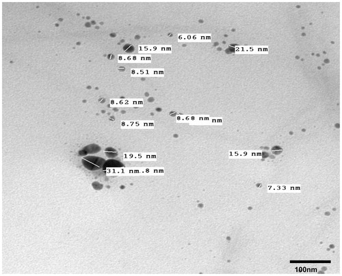 Figure 6. HR-TEM image of synthesized AgNPs.