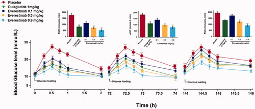 Figure 5. Multiple OGTTs of the everestmab in GK rats. OGTTs were performed at 0.5 h, 24 h, 72 h, and 144 h after single-dose treatment of everestmab (0.1, 0.3, and 0.9 mg/kg) or Dulaglutide (1 mg/kg). Hypoglycaemic effects of everestmab based on the calculated glucose AUC0–2h, AUC24–26h, AUC72–74h and AUC144–146h values. Results are presented as means ± SD (n = 8 each group). ***p<.001; **p<.02; *p<.05, comparing saline to GLP-1R agonists injection.