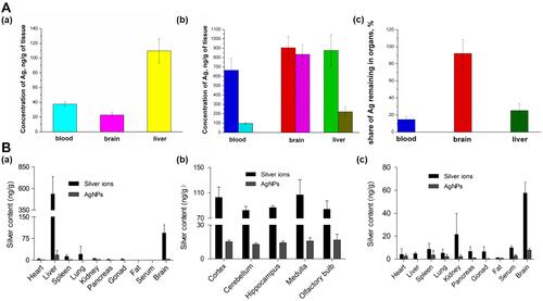 Figure 2 Biodistribution and toxicity of SNPs. (A) Silver concentrations in different organs (a) after one-time exposure to SNPs of size 34 nm, stabilized with PVP (b) after long-time exposure, (c) Fractions of silver remaining in mouse organs after 1 month of washing up. Adapted with permission from. Antsiferova A, Buzulukov Y, Demin V, Kashkarov P,Kovalchuk M, Petritskaya E. Extremely low level of Ag nanoparticle excretion from mice brain in in vivo experiments. IOPConference Series. 2015;98:012003. Creative Commons Attribution 3.0 licence (https://creativecommons.org/licenses/by/3.0/).Citation27 (B) Silver concentrations in main rat organs with daily intranasal administration of silver ions and SNPs of size 26 nm, at a dosage of 0.1mg kg−1 body weight day 1 (n = 4). (a) 4-week exposure (b) Silver distribution in different rat brain regions after 4-week exposure. (c) 12-week exposure. Adapted with permission from Wen R, Yang X, Hu L, Sun C, Zhou Q, Jiang G. Brain-targeteddistribution and high retention of silver by chronic intranasalinstillation of silver nanoparticles and ions in Sprague-Dawley rats. J Appl Toxicol. 2016;36(3):445–453. Copyright 2016 John Wiley and Sons.Citation51