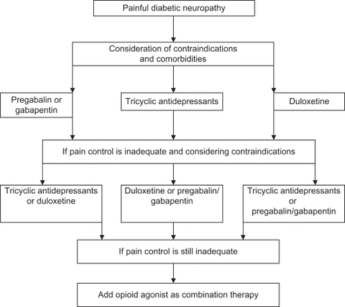 Figure 6 Treatment algorithm for painful diabetic polyneuropathy.