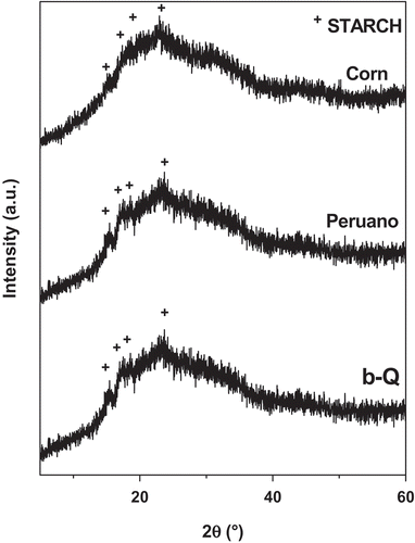 FIGURE 4 XRD patterns of corn, Peruano, and black-Querétaro (b-Q) flours before extrusion (a.u.: arbitrary unit, +: starch).