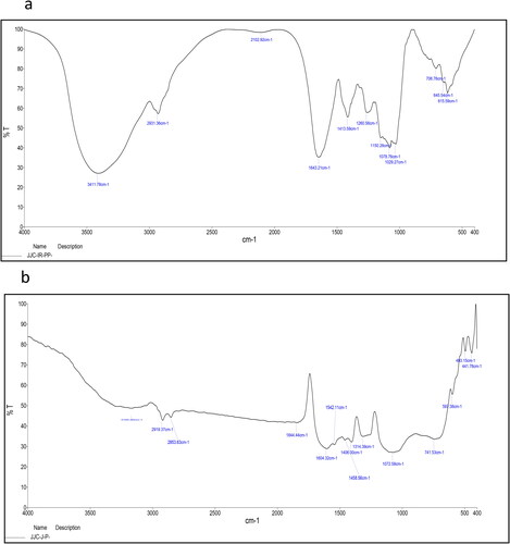 Figure 2. FTIR spectra of (a) C. racemosa extract, (b) biologically synthesized gold nanoparticles using C. racemosa.