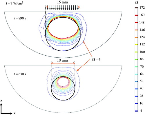 Figure 13. Comparison of thermal damage distribution in tumours of different sizes (tumour diameter: 15 mm on the top panel and 10 mm on the bottom panel). The embedded spherical tumour is illustrated by the black circle.