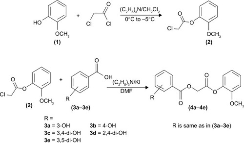 Scheme 1 Synthesis of phenolic derivatives (4a–4e).