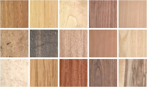 Figure 9. Examples of wood veneers included the Wood UTIA BTF database.