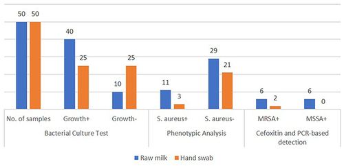 Figure 2 The overall distributions of S. aureus, MRSA, and MSSA in bulk milk and hand swabs of farm workers among 50 investigated dairy farms in Debre Markos, Ethiopia.