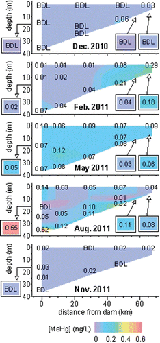 Figure 6 Contour plots of methylmercury [MeHg] in filtered water samples (in ng/L) collected in Grand Lake during this study. BDL = below detection limit. Other details are as in Figure 4.