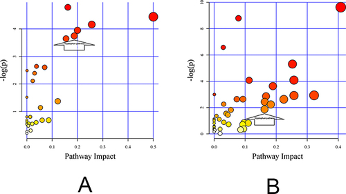 Figure 2 Differential metabolite pathway analysis of Control and CKD groups.