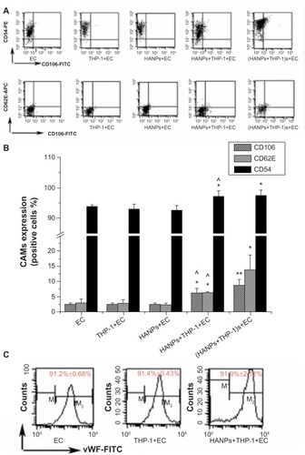 Figure 5 CAMs expression induced by HANPs in HUVECs in mono- and cocultures.Notes: (A) Dot-plot of flow cytometry analysis showing the expressions of CD54, CD106, and CD62E on HUVECs in mono-and cocultures exposed to HANPs for 24 hours. (B) Bar graph shows the percentage of CD54-, CD106-, and CD62E-positive cells in NP-stimulated HUVECs in monoculture or in coculture. (C) The vWF expression on HUVECs in HANP-stimulated cocultures. Normal HUVECs served as the negative control. Data represent the means ± standard error of the means; n=3. *P<0.05; **P<0.01 versus control; ^P<0.05 versus HUVECs with HANPs.Abbreviations: CD, cluster of differentiation; EC, endothelial cells; FITC, fluorescein isothiocyanate isomer 1; HANPs, hydroxyapatite nanoparticles; vWF, von Willebrand factor; CAMs, cell adhesion molecules; HUVECs, human umbilical vein endothelial cells; NP, nanoparticle; n, number.
