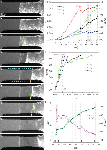 Figure 1. Straining, phase transformation and fracture dynamics of a tensile specimen containing a glass-crystal interface. (a)-(i) Dark-field images showing the straining, phase transformation and fracture. Green dashed lines indicate nucleated α’ phase bands. The angle between the axial direction (cyan dashed horizontal lines) and the surface of the α’ phase (cyan dashed inclined lines) is denoted by θ. Yellow arrows indicate large ω grains blocking α’ phase propagation. Green arrows indicate parallel α’ bands formed during a later stage. (j) Time-dependent evolution of the stress σ and strain ϵ. The subscripts represent, whether ϵ was determined for the entire gauge section ‘t’, the glass ‘g’ or the crystal ‘c’. (k) stress-strain curves deduced from (j). (l) θ–t and S-t curve. S denotes the measured area of α’ phase. The dotted vertical lines in (j)-(l) correspond to frames (b)-(h) extracted from the video.