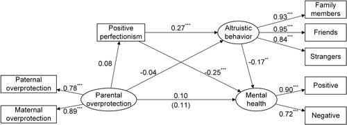 Figure 3 The relationships between perceived parental overprotection, positive perfectionism, altruistic behavior, and mental health.