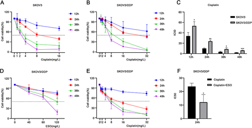 Figure 6 Effects of cisplatin and ESO on cell viability in SKOV3 and SKOV3/DDP cells. (A and B) The CCK-8 assay was used to detect the viability of SKOV3 and SKOV3/DDP cells treated with different concentrations of cisplatin for 12, 24, 36, and 48 h. (C) The IC50 of SKOV3 and SKOV3/DDP cells treated with cisplatin. (D) The CCK-8 assay was also used to detect the viability of SKOV3/DDP cells treated with different concentrations of ESO for 12, 24, 36, and 48 h, and (E) ESO (80 mg/L) combined with different concentrations of cisplatin for 12, 24, 36, and 48 h. (F) The IC50 of ESO (80 mg/L) combined with different concentrations of cisplatin for 24 h in SKOV3/DDP cells. Data represent mean ± SD. *p<0.05, **p<0.01, ***p<0.001.