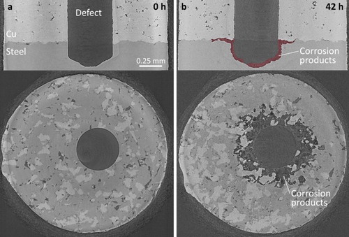 Figure 4. Synchrotron micro-CT vertical and horizontal image slices of the annealed cold spray Cu/steel interface after exposure to O2-sparged 3 mol L−1 NaCl solution for 0 h (a) and 42 h (b). The accumulated corrosion products are highlighted in the 42 h vertical image slice.