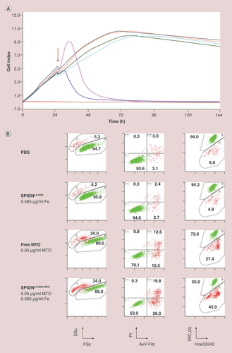 Figure 5. Combination of complementary methods enables the valid analysis of nanoparticle mediated effects in vitro. (A) Real-time cell analysis based on impedance measurement (xCELLigence® technology) enables the label-free monitoring of adherent cells for several days. Viable proliferating adherent cells are usually tightly attached to plastic surfaces and cause impedance, which is indicated by an increasing cell index. Dying cells in contrast detach, which is reflected by decreasing cell indices. Here shown: RTCA-evaluation of pure SPIONs over a period of 144 h in the breast cancer cell line MCF-7. Red curve: pure cell medium as baseline; green curve: cells without test substance; orange curve: 0.7 μg/ml SPIONs; black curve: 7 μg/ml SPIONs; light blue curve: 70 μg/ml SPIONs; pink curve: 700 μg/ml SPIONs; dark blue curve: 1400 μg/ml SPIONs; red arrow: substance addition. (B) Flow cytometry analyzes of the effect of SEONLA-BSA, SEONLA-BSA loaded with MTO and free MTO without nanoparticles. (B) Flow cytometry analyzes of the effect of SEONLA-BSA, SEONLA-BSA loaded with MTO and free MTO without nanoparticles. (B) Multiparameter stainings in flow cytometry provide a comprehensive picture on induced cell death phenotypes. Annexin-Fitc (AxV-Fitc) binds to hosphatidylserine, which is marker for apoptosis; PI intercalates into the DNA of cells with disturbed plasma membranes, being a marker for necrosis; DiIC1(5) provides information about the mitochondrial membrane potential (viable cells are positive for DiIC1[5]) and Hoechst 33342 is a plasma membrane permeable dye that supports the discrimination between cells and nanoparticles for analysis. Due to the intrinsic fluorescence of MTO, additionally the intracellular amount of the cytotoxic drug can be estimated. Viable cells are depicted in green; apoptotic/necrotic cells are depicted in red.BSA: Bovine serum albumin; LA: Lauric acid; MTO: Mitoxantrone; PI: Propidium iodide; SEON: Section of Experimental Oncology and Nanomedicine; SPION: superparamagnetic iron oxide nanoparticle. (A) Reproduced with permission from [Citation83].